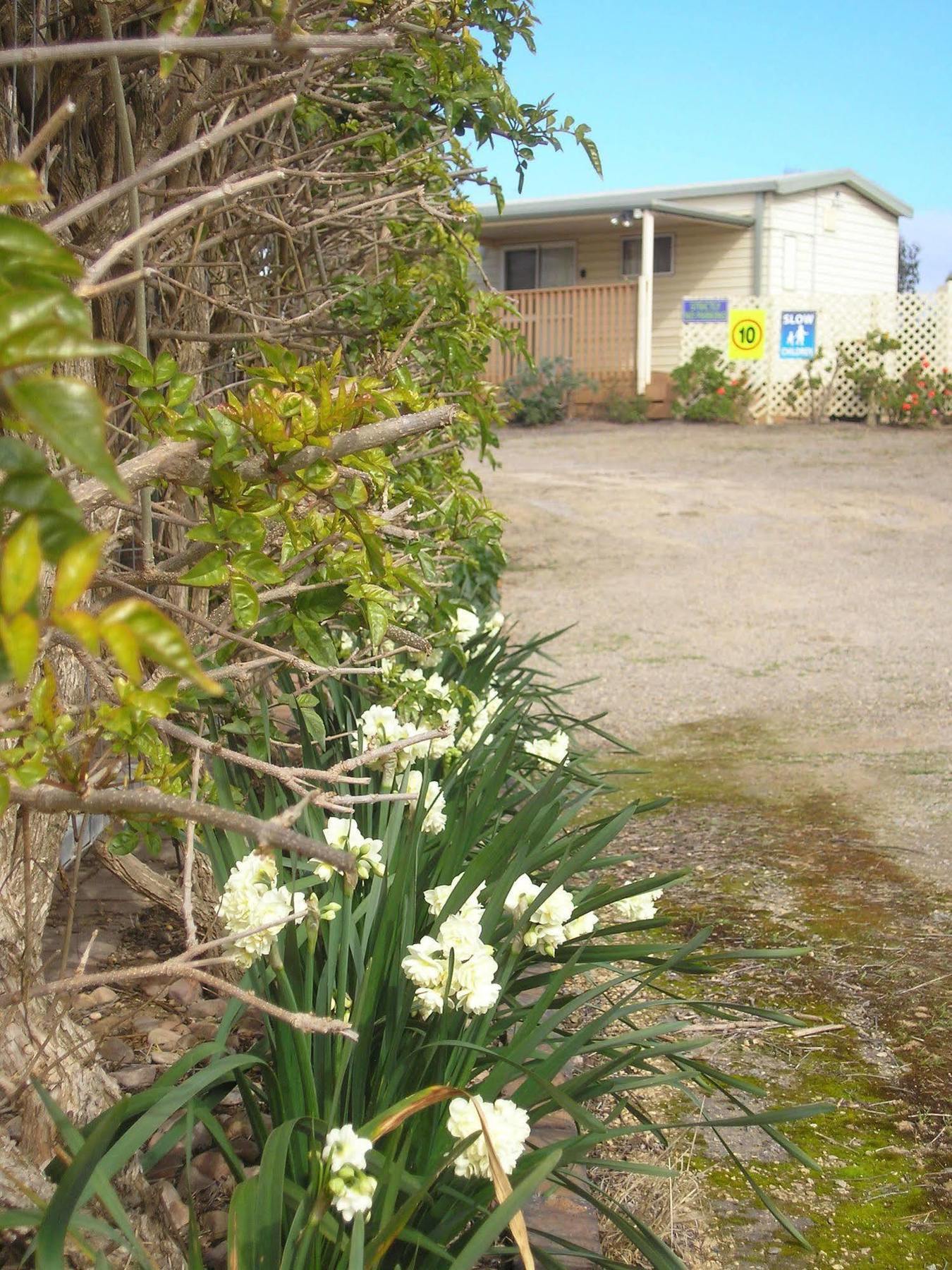 Moonta Bay Accommodation Port Moonta エクステリア 写真